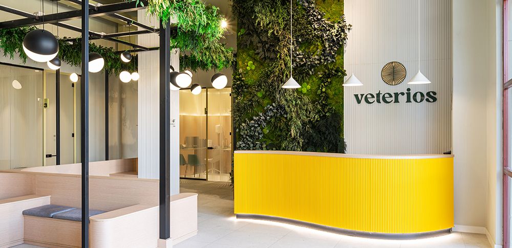 Ejecución de Obra de Reforma de Local para Hospital Veterinario Veterios en Madrid.